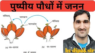 पौधों में जनन। pushpi paudhon mein Janan | Reproduction in plants. paudhon mein Janan | part-1