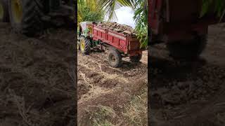 Construction of Poultry Shed । Poultry Farm । Goat Farm ।