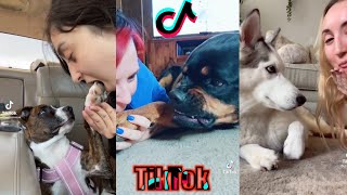 Pretend to eat your dog and see what they do | TikTok challenge Cute Animals Compilation