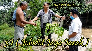 3j ( jolodot jaga jarak )