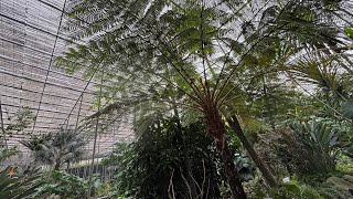 Estufa Fria , cold greenhouse, Lisbon , Portugal