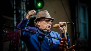 Van Morrison - Celtic Swing