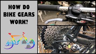 Bike Gears Explained || How Do Bike Gears Work || Rad Cyclist