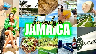 JAMAICA TRAVEL VLOG🌴: NIGHTLIFE IN KINGSTON + MEETING USAIN BOLT + BLUE HOLE+ HELLSHIRE & A RESORT!