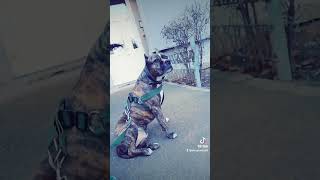 #tiktok #viral #foryou #tiktokromania #danyturda