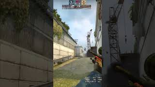 Awp + Brain #2