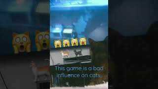 Oh, the Felinity!!! (Stray - gameplay) Fox News blames video games for the downfall of our housecats