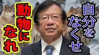 【公式】大知とは人間が幸せになるための集合的な知であり、他の生物の幸福や自然との共生などは含まないもの？【武田邦彦】