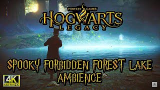 "Hogwarts Legacy Ambience | Enchanting Stroll Around the Forbidden Forest Lake"