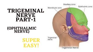 TRIGEMINAL NERVE |OPHTHALMIC NERVE|COARSE AND DISTRIBUTION