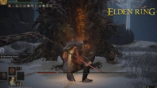 [Elden Ring] Putrid Avatar (Consecrated Snowfields) boss fight | No Hit Run | 2024