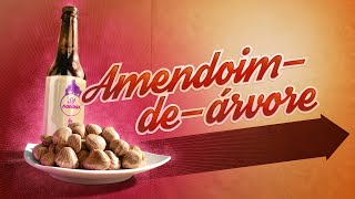 FRUTAS DO CERRADO: Castanha do Maranhão ou Amendoim de árvore