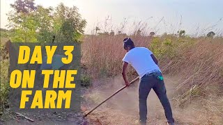 LAND IS WEALTH | DAY 3 IN THE VILLAGE CLEARING THE FARM