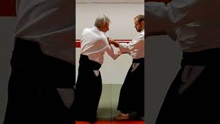 Aikido techniques on shoulder and wrist grip, KATA KATATEDORI, by Stefan Stenudd