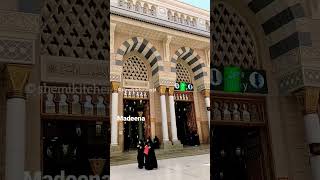 Madeena #masjidnabawi #madeenashareef #madeena  #shorts #shortsvideo | madeena status video