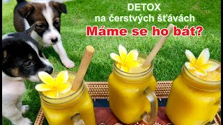 Máme se bát detoxu?