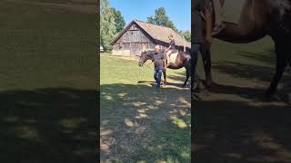 Prvo jahanje / First time horseback riding