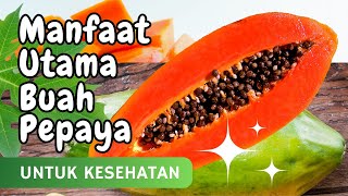 Manfaat Utama Buah Pepaya bagi Kesehatan Tubuh