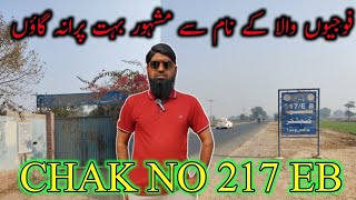 Village Tour: Chak No.217 EB, Tehsil Burewala @SajidAliw100