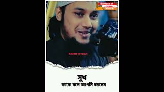 সুখ কাকে বলে আপনি জানেন ।।🎙️Abu Toha Muhammad Adnan 🌺