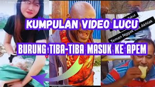 🌟BURUNG TIBA TIBA MASUK KE APEM 😆 #VIDEOLUCU