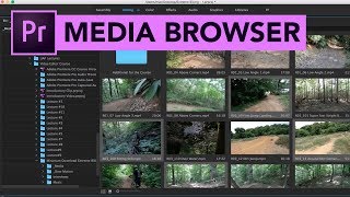 12 | Media Browser in Adobe Premiere CC | Urdu/Hindi