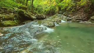 Relaxing Piano Music, Overcoming Stress, Anxiety, and - Water Sounds, Bird Sounds, Healing Music