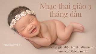 Nhạc thai giáo 3 tháng đầu | Nhâm Lan Hương