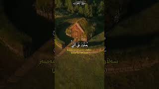 إِنَّ ٱللَّهَ وَمَلَـٰۤىِٕكَتَهُۥ یُصَلُّونَ عَلَى ٱلنَّبِیِّۚ ...القارئ ماهیر المعیقلی ❣️❣️