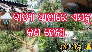 🌧️ବାତ୍ୟା ଦାନାରେ ଏସବୁ କଣ ହେଲା??🌧️ ବାତ୍ୟାରେ ଆମର କଣ ଖେତିହେଲା?? Bapi lifestyle vlog