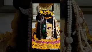 Lord Siva Telugu WhatsApp Status .. ఓం నమః శివాయ ..