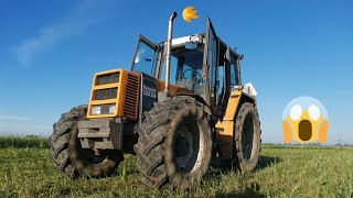 🔥Akcja kiszonka z gorzowskiej na pryzmie! 🚜💪🚜🤪