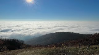 Tokaji Hegy fantasztikus látvány !