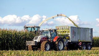 Kiszonka 2O21! ☆ GR Małeccy & UR Drozda ☆ CLAAS JAGUAR 950 & STEYR CVT6230 & ☆ AGRO Wiesniak™