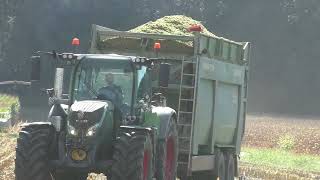 Auf der Jagd nach Mais der Claas Jaguar 980 und Claas Orbis 750  für eine Ganz Große Biogas Anlage i