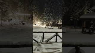 Beauty at night Snow in Borovets Bulgaria