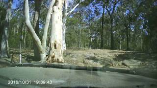 Wombat Flats, Yalwal, NSW 4x4 part J