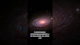 UN VIAJE POR NUESTRO UNIVERSO \\LA GALAXIA DEL GIRASOL//