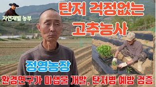 탄저와 진딧물 걱정없는 고추농사 정영농장 환경연구가 미생물로 가능해요