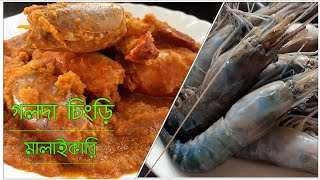 Chingri Macher Malai Curry/গলদা চিংড়ি মালাইকারি/amar hneshel