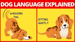 Dog's Language And What It Means