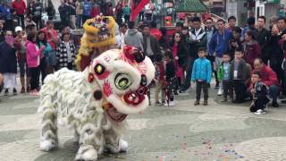 Lion Dance