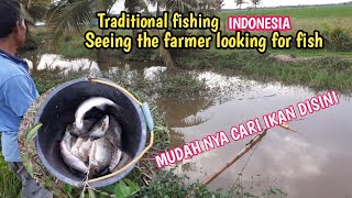 Seeing the farmer looking for fish || Nangkul ikan || Branjang ikan || Traditional fishing