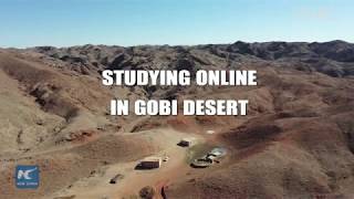 Studying online in Gobi desert