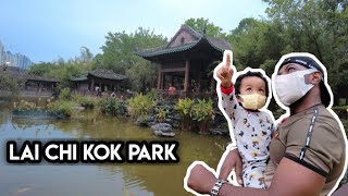 Lai Chi Kok Park Hong Kong -  ajak anak bermain ditaman