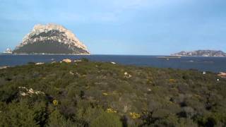 La Spiaggia di Punta La Greca, Sardinia