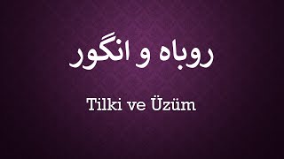 Tilki ve Üzüm   /  گَوَزن و فرزندَش