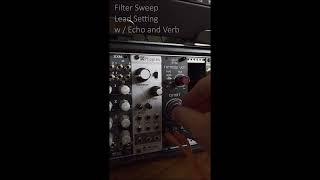 Eurorack Shorts Demo - Wild Sync Fat Moog VCF / Filter