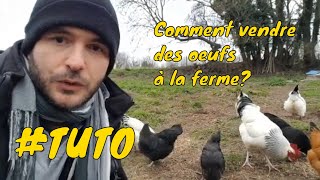 Vente d'œufs à la ferme - démarches, déclarations, cerfa, etc...