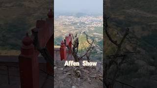 Auf dem Berg Shree Savitri Mata Mandir in Pushkar INDIEN. Die Affen 🐵 Mutter entlaust ihr Baby.